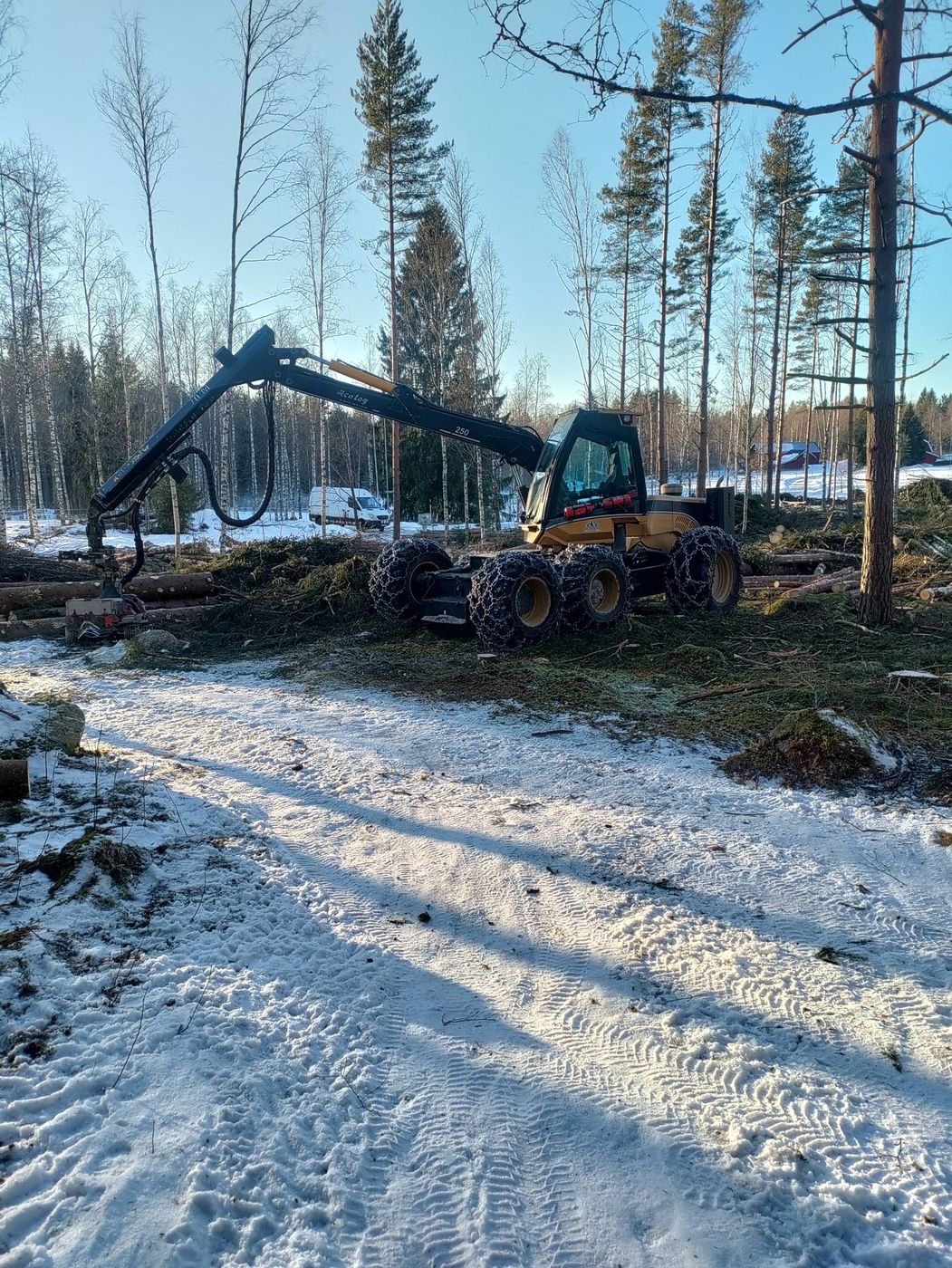 Skördemaskin vid avverkning i vinterskogen
